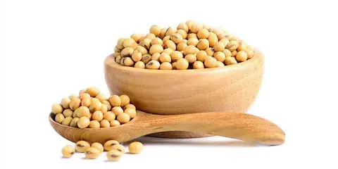 Soy Isoflavones Extract