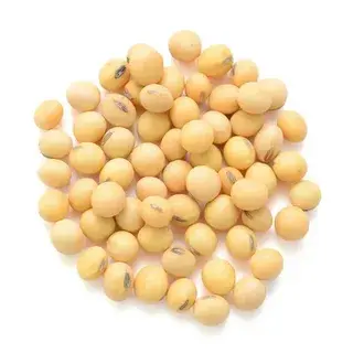 Soy Isoflavones Extract