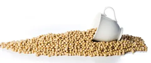 Soy Isoflavones Extract