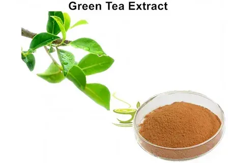 natural tea polyphenols