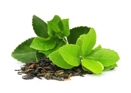 Natural tea polyphenols