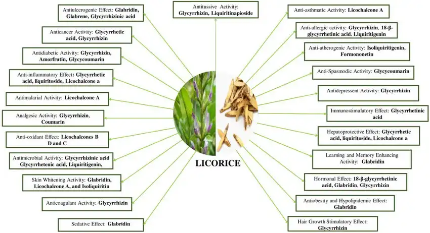 Functions of Compound Glycyrrhizin