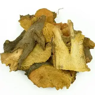 Polygonum cuspidatum extract Polygonum cuspidatum extract