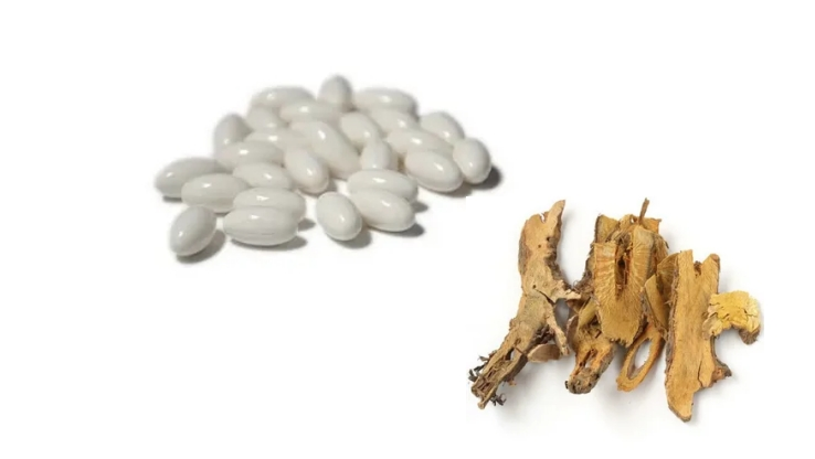 Resveratrol Supplement Resveratrol Supplement