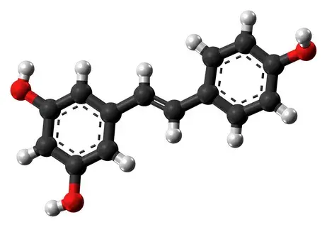 resveratrol powder resveratrol powder