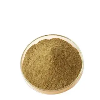 St John's Wort Extract Powder