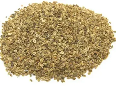 Cnidium Monnieri Extract Cnidium Monnieri Extract