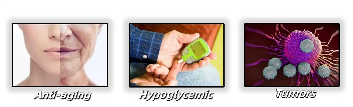 Function Cordyceps Sinensis Powder Function Cordyceps Sinensis Powder