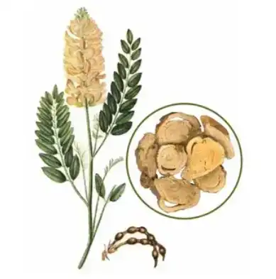 blog-389-393 blog-389-393