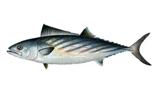 blog-528-293 blog-528-293