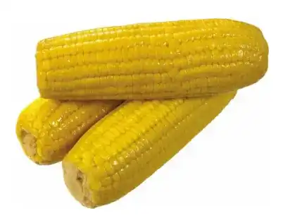 blog-402-309 blog-402-309