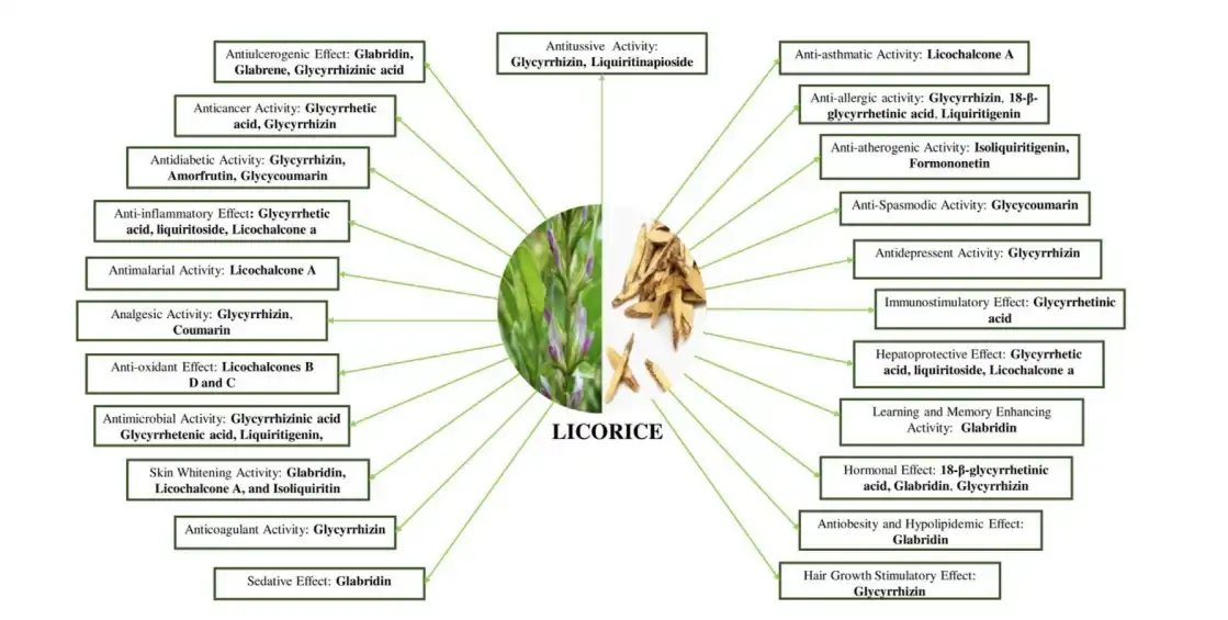 Liquiritigenin functions Liquiritigenin functions