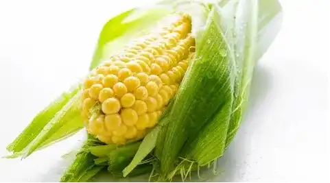 blog-481-267 blog-481-267