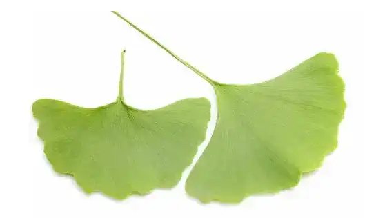 blog-529-316 blog-529-316