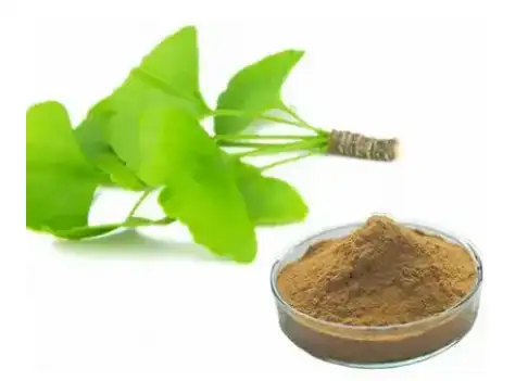 blog-486-351 blog-486-351