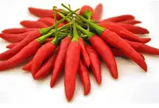 blog-327-223 blog-327-223