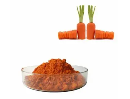 blog-424-324 blog-424-324