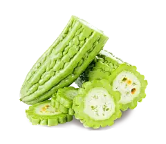 Bitter Melon Powder Bitter Melon Powder