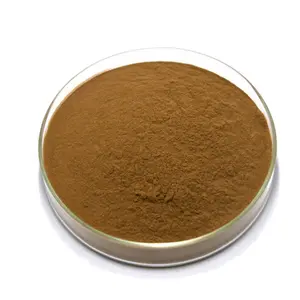 Semen Ziziphi Spinosae Extract Powder 