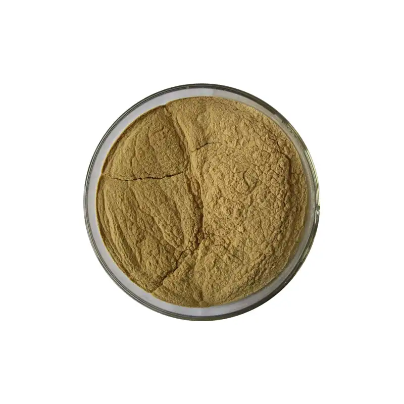 Semen Ziziphi Spinosae Extract Semen Ziziphi Spinosae Extract