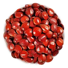 Semen Ziziphi Spinosae Extract Semen Ziziphi Spinosae Extract