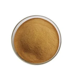 Chrysanthemum Extract Powder