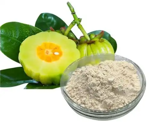 Garcinia Cambogia Extract Powder