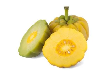 Garcinia Cambogia Extract Powder