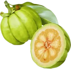 Garcinia Cambogia Extract Powder