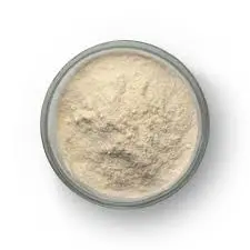 Garcinia Cambogia Extract Powder