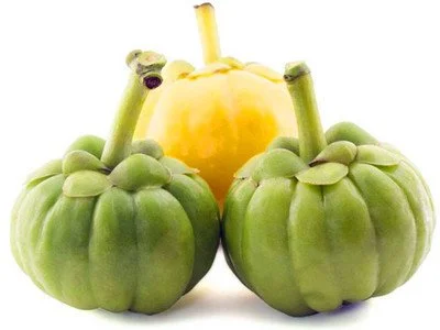 Garcinia Cambogia Extract Powder