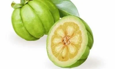 Garcinia Cambogia Extract Powder