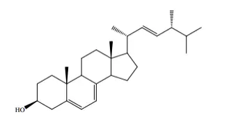 Ergosterol Powder