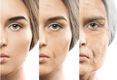 Ergosterol Powder for Skin Aging Ergosterol Powder for Skin Aging