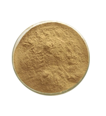 Echinacea Purpurea Extract Powder