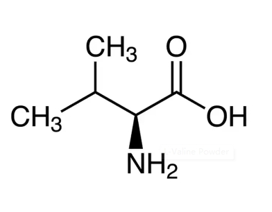 L-Valine Powder