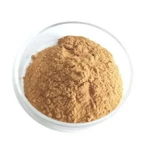 American Ginseng Extract Powder