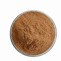 Echinacea Purpurea Extract Powder