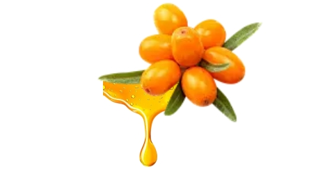 organic Sea Buckthorn Oil