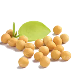 Organic Soybean Extract