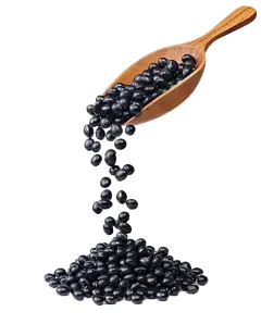Black Soybean Powder Black Soybean Powder