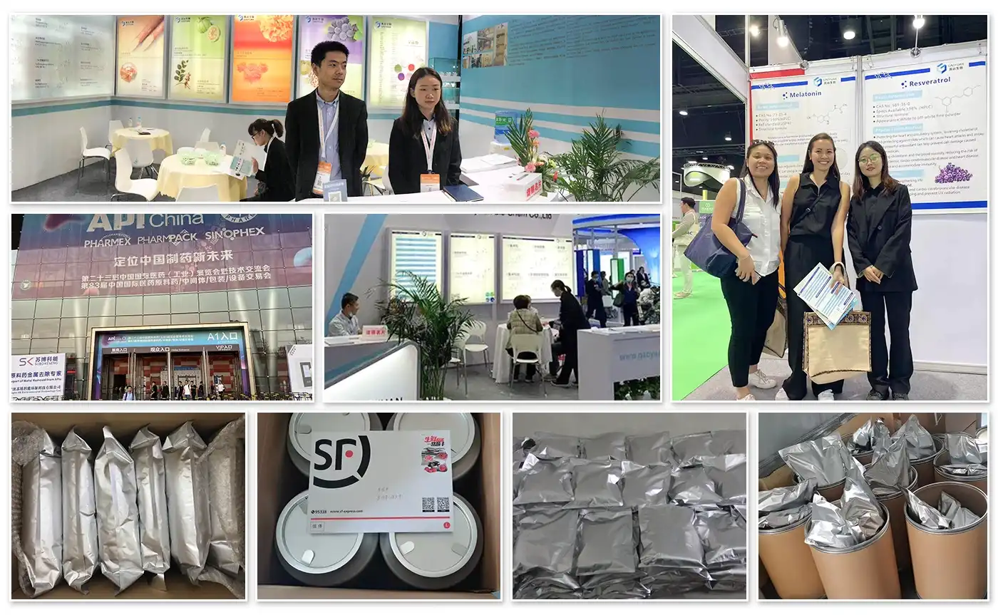 Bitter Melon Powder Factory Bitter Melon Powder Factory