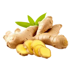 Ginger Extract Powder Ginger Extract Powder