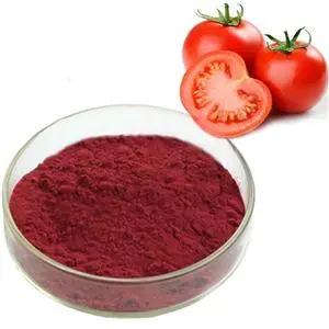 Lycopene Powder 1 Lycopene Powder 1