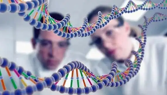 Lycopene Powder 3 Lycopene Powder 3