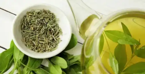 Does Green Tea Have Chlorogenic Acid?