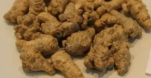 How to Use Notoginseng Powder?