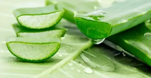 Is Aloe-Emodin a Laxative?