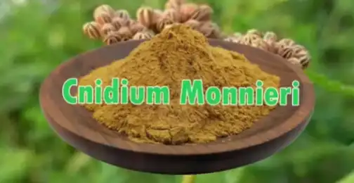 How does Cnidium Monnieri work?