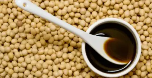 Does soy isoflavones help you sleep?